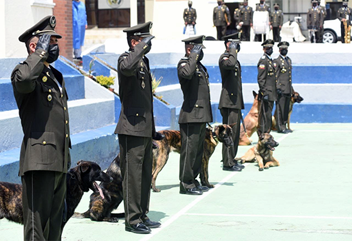 gobierno-frances-dona-canes Gobierno francés donó nueve canes para el combate del narcotráfico