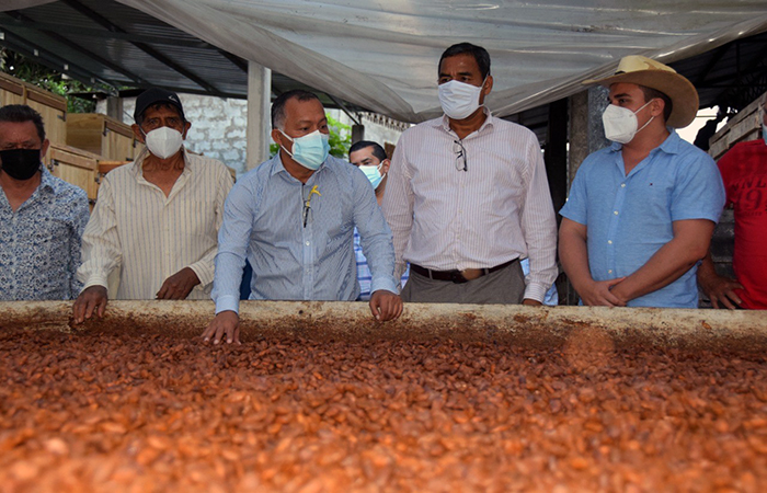 productores-cacaoteros-reciben-secadoras-solares-y-cajones-fermentadores-ecuador221.com_ Productores cacaoteros reciben secadoras solares y cajones fermentadores