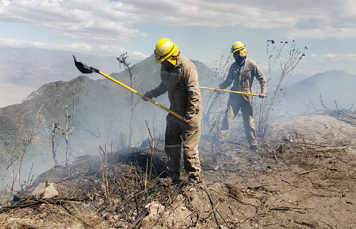 ambiente-impulsa-la-campana-ecuador-sin-incendios-forestales-ecuador221.com_ Ministerio impulsa la campaña “Ecuador Sin Incendios Forestales”