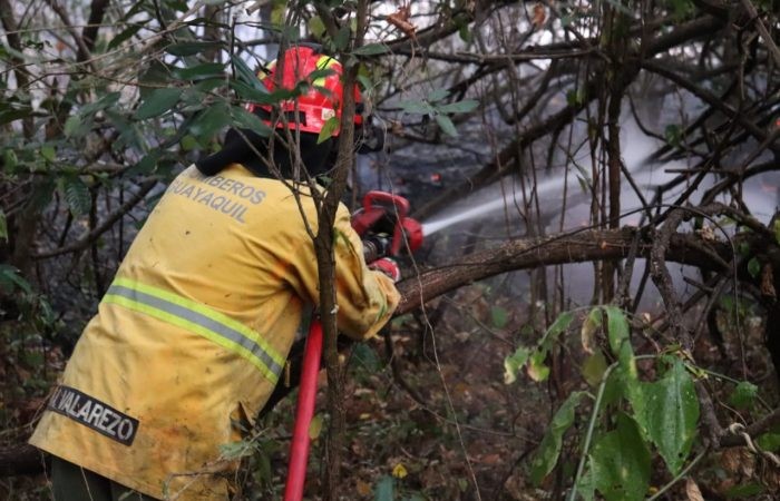 en-siete-horas-los-bomberos-controlaron-incendio-forestal-via-a-la-costa-ecuador221.com_ En siete horas los bomberos controlaron incendio forestal vía a la Costa