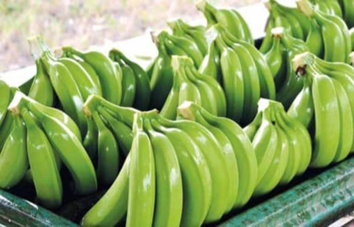gobierno-bananeros-y-plataneros-alcanzaron-varios-acuerdos-ecuador221.com_ Gobierno, bananeros y plataneros alcanzaron varios acuerdos