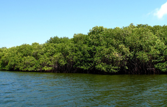 ecuador 221 asamblea-vota-hoy-por-las-reformas-al-codigo-del-ambiente-ecuador221.com_ Asamblea vota hoy por las reformas al Código del Ambiente