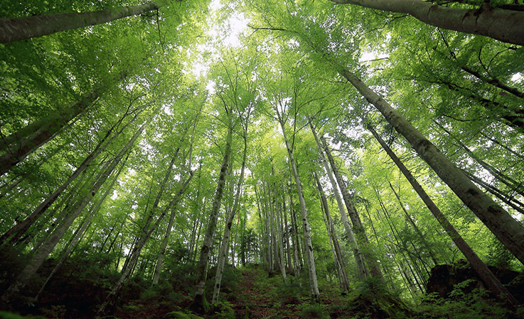 asamblea-aprobo-ley-reformatoria-al-codigo-organico-del-ambiente-ecuador221.com_.ec_ Asamblea aprobó Ley Reformatoria al Código Orgánico del Ambiente