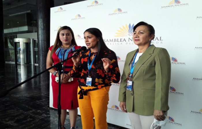 presentan-proyecto-de-enmienda-constitucional-sobre-requisitos-para-ser-asambleista-ecuador221.com_.ec_ Presentan proyecto de enmienda constitucional sobre requisitos para ser asambleísta