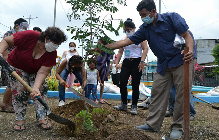 guayaquil-alcanzo-la-meta-de-4000-arboles-sembrados-en-2021-ecuador221.com_.ec_ Guayaquil alcanzó la meta de 4.000 árboles sembrados en 2021