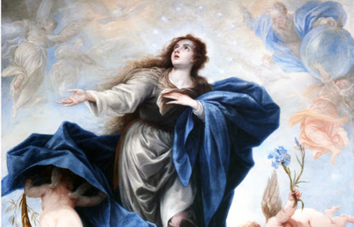 ecuador 221 que-es-la-inmaculada-concepcion-ecuador221.com_.ec_ ¿Qué es la Inmaculada Concepción?