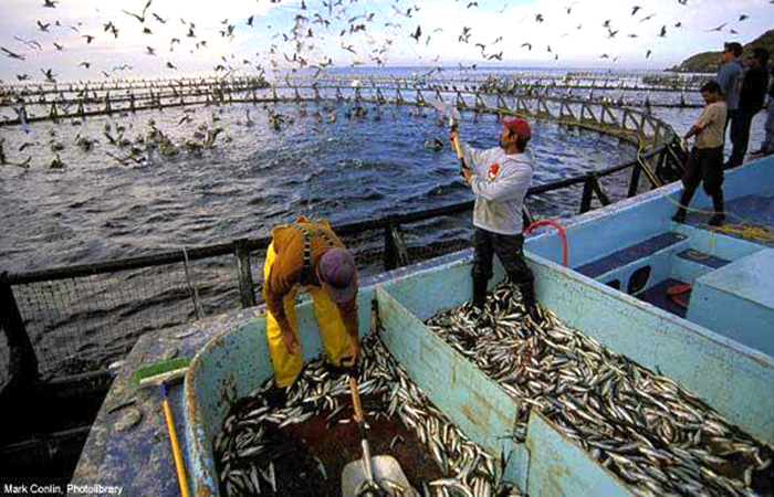 asambleistas-y-representantes-del-sector-pecuario-analizaron-la-ley-de-pesca-ecuador221.com_.ec_ Asambleístas y representantes del sector pecuario analizaron la Ley de Pesca