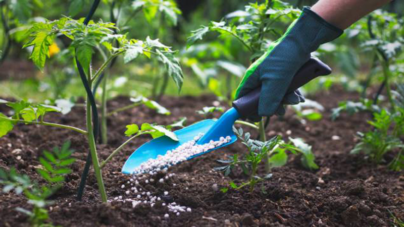 empresa-inglesa-invertira-usd-50-millones-en-el-sector-agricola-ecuador221.com_.ec_ Empresa inglesa invertirá USD 50 millones en el sector agrícola