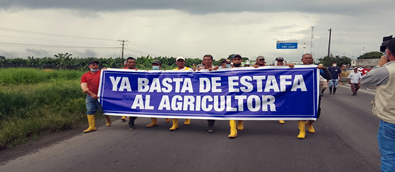 bananeros-protestan Productores bananeros piden al Gobierno declarar en emergencia al sector