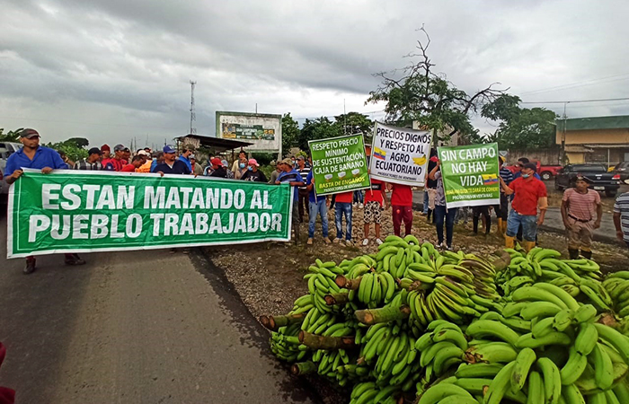 productores-bananeros-exigen-al-gobierno-declarar-en-emergencia-al-sector-ecuador221.com_.ec_ Productores bananeros piden al Gobierno declarar en emergencia al sector