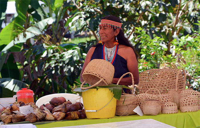 descubre-los-secretos-del-festival-de-la-chonta-o-uwi-ijiamtamu-ecuador221.com_.ec_ Descubre los secretos del Festival de la Chonta o “Uwi ijiamtamu”