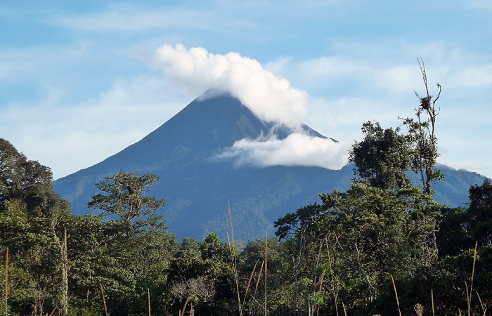 los-suelos-del-volcan-sumaco-contienen-amplia-biodiversidad-de-bacterias-ecuador221.com_.ec_ Los suelos del volcán Sumaco contienen amplia biodiversidad de bacterias