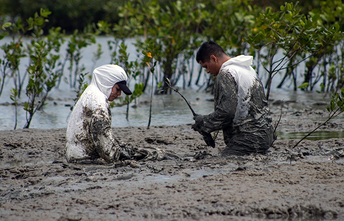 proyecto-sembrando-vida-de-dp-world-posorja-gana-premio-global-ecuador221.com_.ec- Proyecto “Sembrando Vida”, de DP World Posorja, gana premio global