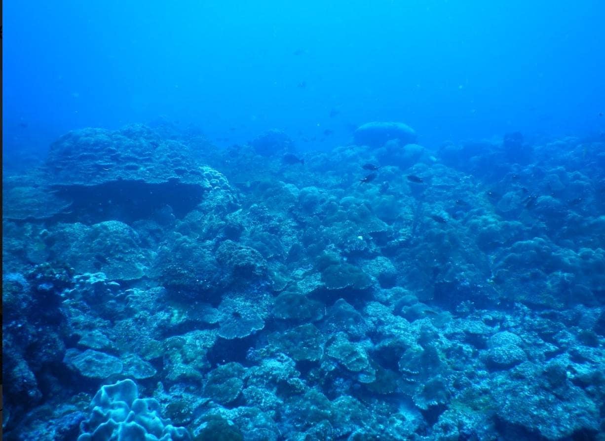 fortalecen-investigacion-meteorologica-en-el-arrecife-wellington-de-galapagos-ecuador221.com_.ec_ Fortalecen investigación meteorológica en el arrecife Wellington de Galápagos