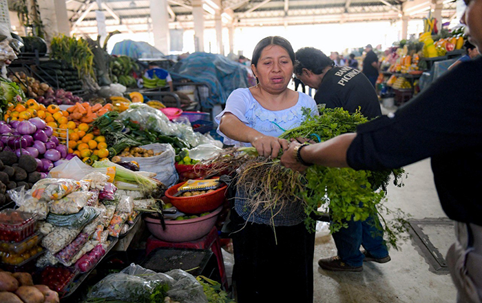 la-yapa-se-entregara-en-10-mercados-municipales-el-fin-de-semana.ecuador221-com.ec_ La ‘Yapa’ se entregará en 10 mercados municipales el fin de semana