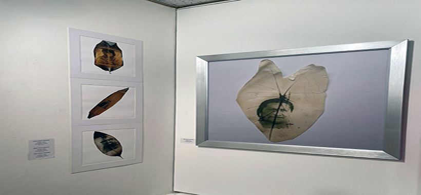 Trienal-de-Arte-Latinoamericano Fotógrafas ecuatorianas participanen la Trienal de Arte Latinoamericano de Nueva York