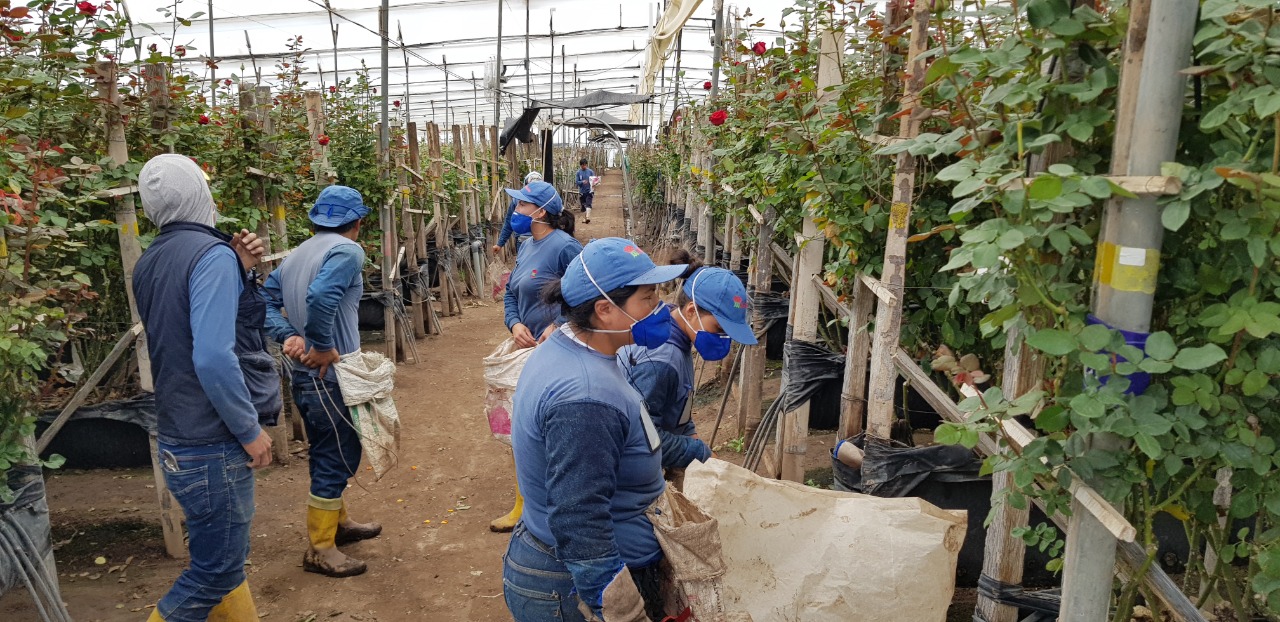 ecuador 221 BOLETIN-16-DE-JULIO Trabajadores no pierden la esperanza del alza del sueldo básico.