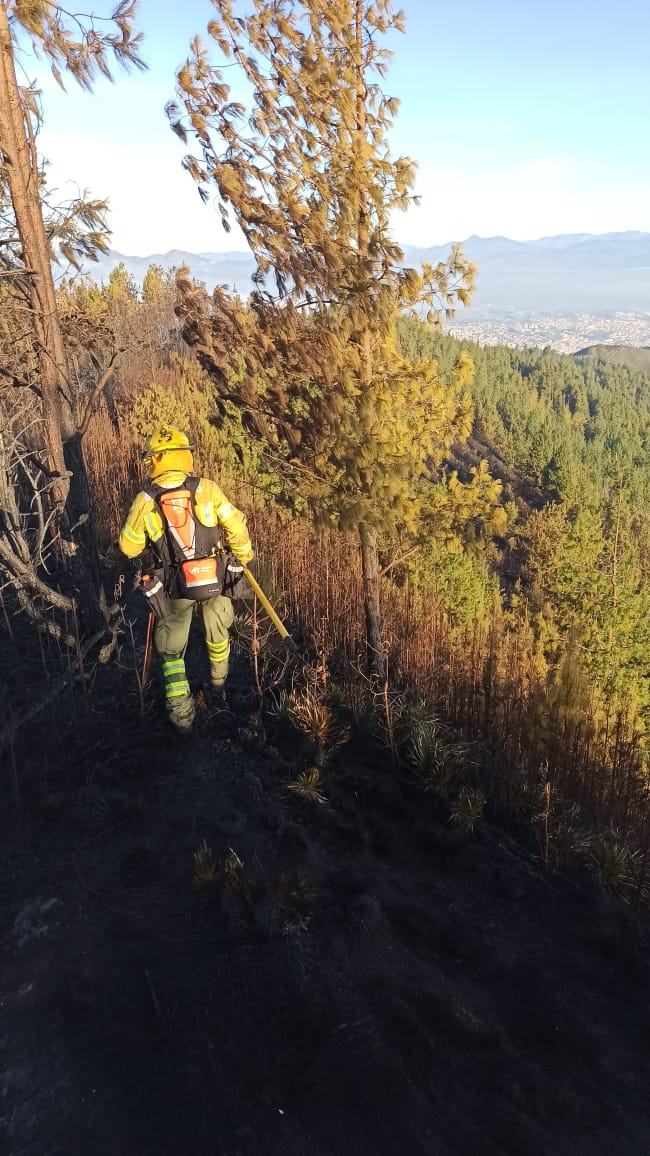 Bomberos-liquidan-incendio-forestal-en-Podocarpus Bomberos liquidan incendio forestal en Podocarpus