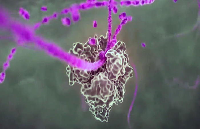 casos-de-enfermedades-respiratorias-en-pacientes-de-guayaquil-siguen-al-alza-ecuador221.com_.ec_ Casos de enfermedades respiratorias en pacientes de Guayaquil siguen al alza