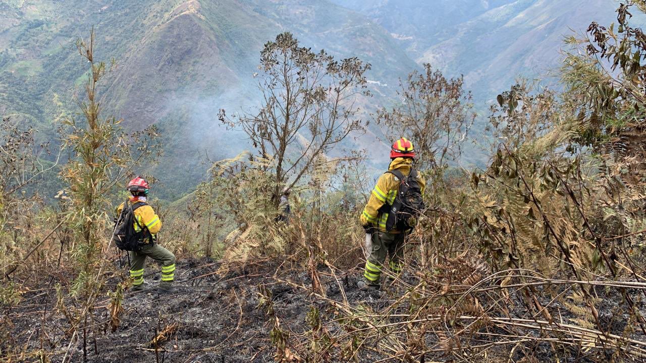 incendios Cuenca es la ciudad mas afectada por la deforestación