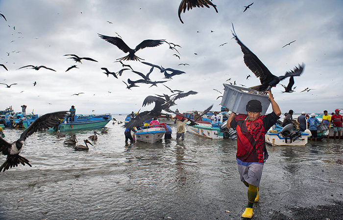 informe-del-proyecto-de-ley-de-incentivos-a-la-pesca-artesanal-esta-listo-para-votacion-en-el-pleno-ecuador221.com_.ec_ Informe del Proyecto de Ley de Incentivos a la Pesca Artesanal está listo para votación en el Pleno