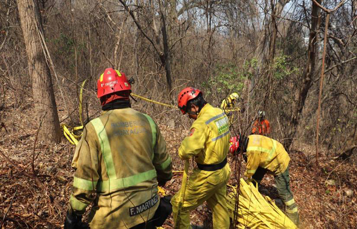 preparan-proyecto-de-ordenanza-para-combatir-incendios-forestales-ecuador221.com_.ec_ Preparan proyecto de ordenanza para combatir incendios forestales