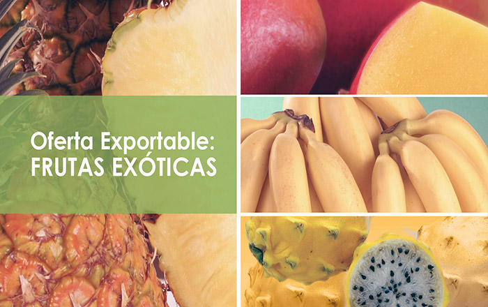 pymes-exportadoras-de-frutas-exoticas-estaran-en-foro-internacional-en-italia-ecuador221.com_.ec_ Pymes exportadoras de frutas exóticas estarán en Foro Internacional en Italia