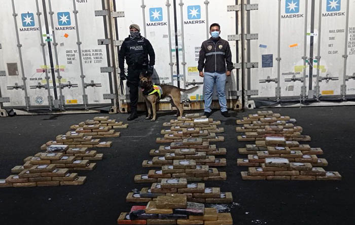 incautan-200-kilos-de-cocaina-dentro-de-cajas-de-banano-para-portugal-ecuador221.com_.ec_ Incautan 200 kilos de cocaína dentro de cajas de banano para Portugal