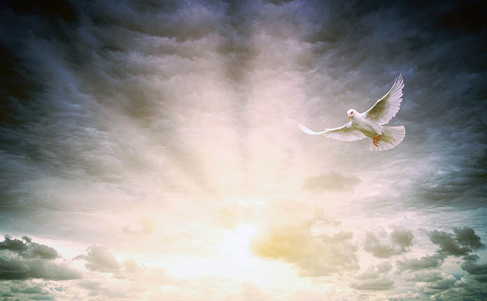 los-misteriosos-simbolos-de-pentecostes-en-los-iconos-ortodoxos-ecuador221.com_.ec_ Los misteriosos símbolos de Pentecostés en los iconos ortodoxos