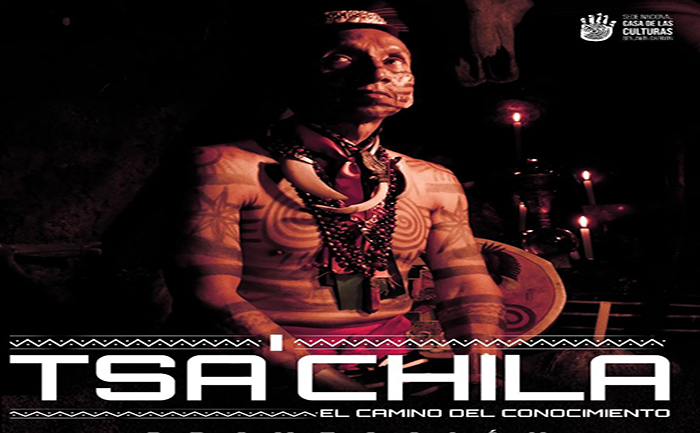 5.-tsachila-el-camino-del-conocimiento-se-estrena-en-la-casa-de-la-cultura-ecuador221.com_.ec_ El documental “Tsa’chila, el camino del conocimiento” se estrena en la Casa de la Cultura