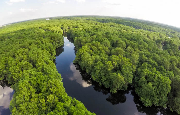 ecuador 221 cne-habilita-19-organizaciones-para-consultas-populares-yasuni-y-choco-andino-ecuador221.com_.ec_ CNE habilita 19 organizaciones para consultas populares Yasuní y Chocó Andino