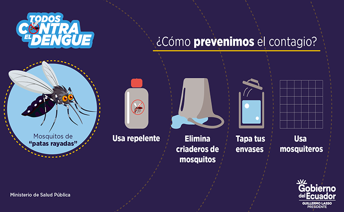 el-msp-advierte-brotes-de-casos-de-dengue-a-nivel-nacional-ecuador221.com_.ec_ El MSP advierte brotes de casos de dengue a nivel nacional