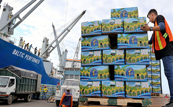 ecuador-exporto-273-millones-de-cajas-de-banano-en-el-primer-semestre-de-2023-ecuador221.com_.ec_ Ecuador exportó 273 millones de cajas de banano en el primer semestre de 2023