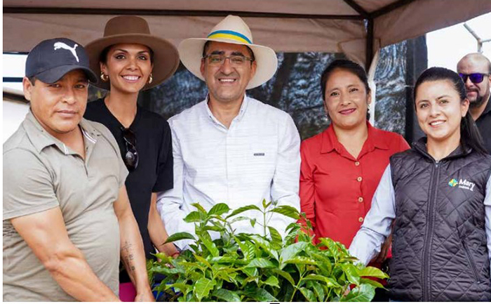 entregan-22-mil-plantas-de-cafe-a-130-productores-de-celica-ecuador221.com_.ec_ Entregan 22 mil plantas de café a 130 productores de Celica