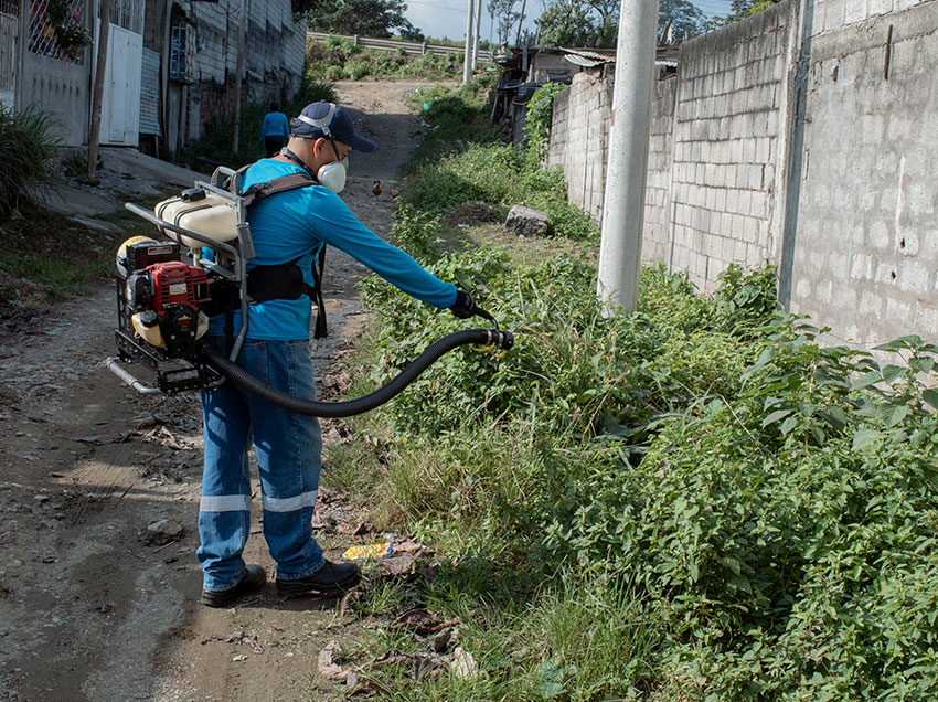 realizan-fumigaciones-en-tenguel-para-evitar-enfermedades-invernales-ecuador221.com_.ec_ Realizan fumigaciones en Tenguel para evitar enfermedades invernales