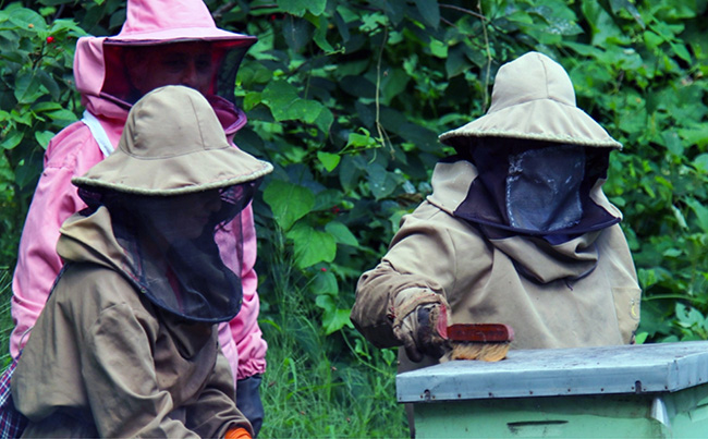 reinas-obreras-mujeres-apicultoras-transforman-su-comunidad-en-ecuador-ecuador221.com_.ec_ Reinas Obreras: Mujeres apicultoras transforman su comunidad en Ecuador