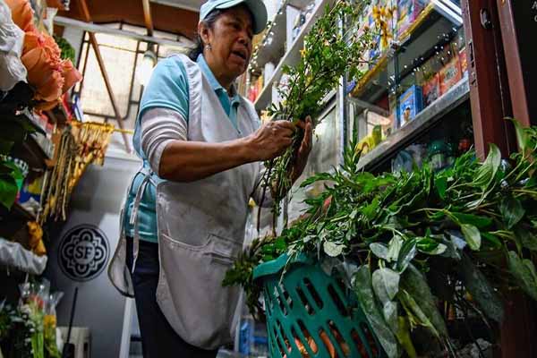 Las yerbateras del mercado San Francisco