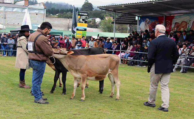 Feria agropecuaria