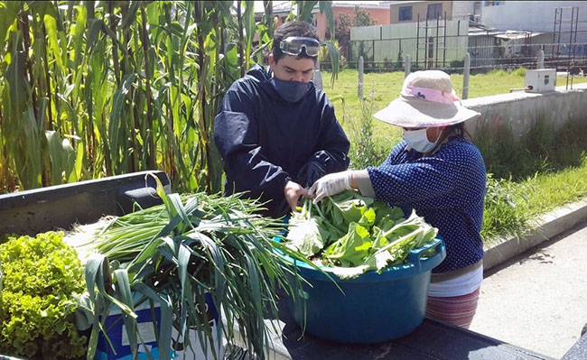 Reactivación Agropecuaria