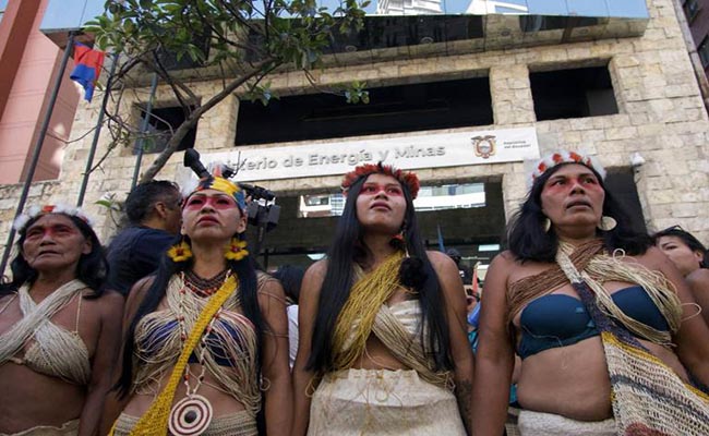 Parque Yasuní