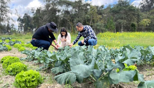 biofertilizante