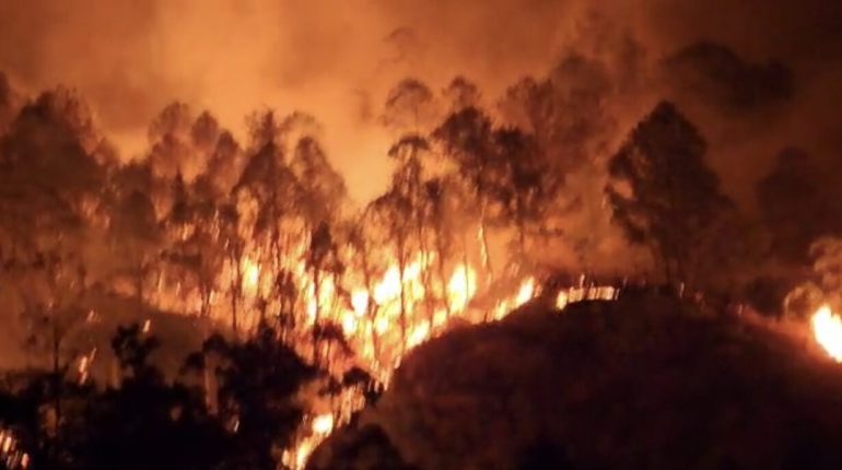 Incendio Forestal en Quilanga