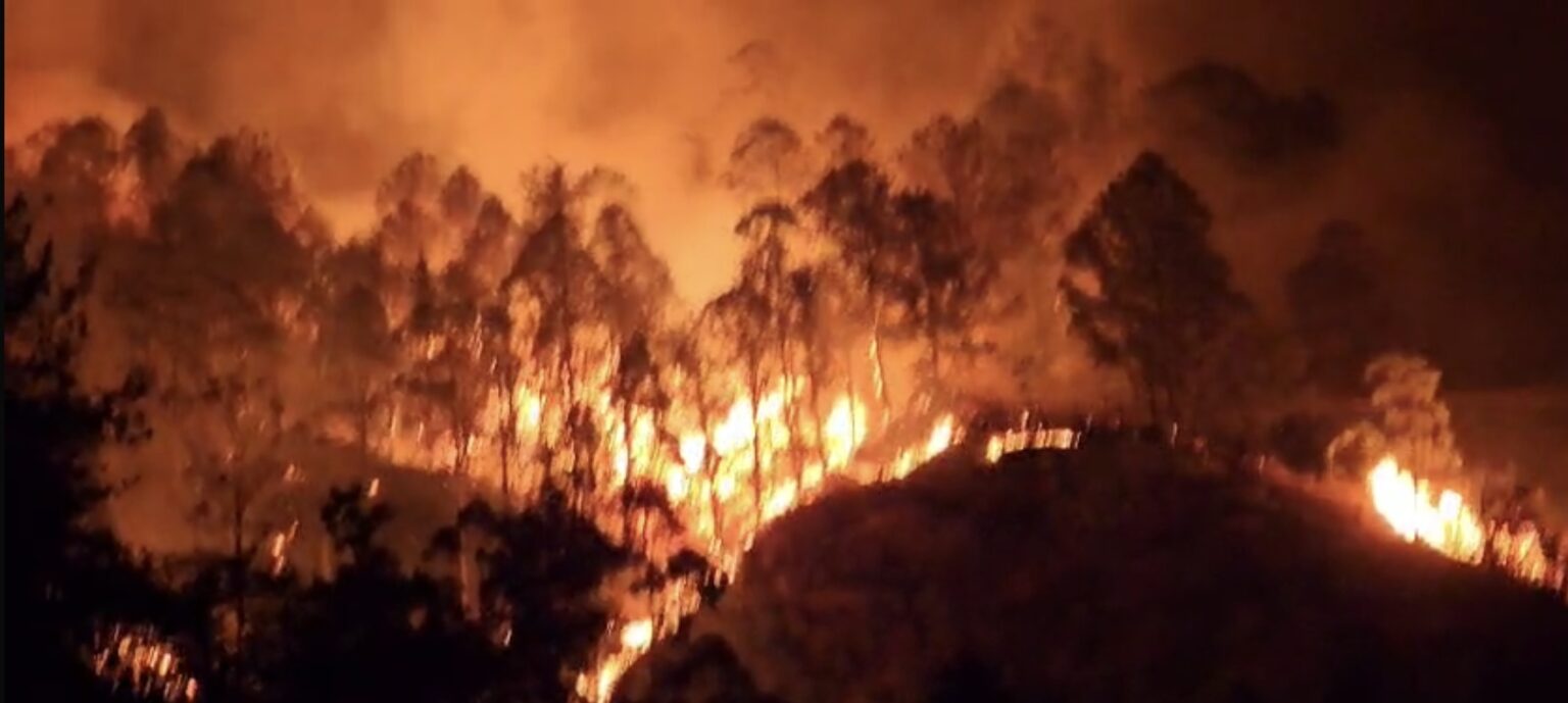incendio-devastador-en-quilanga.ecuador221.com_.ec_ Incendio devastador en Quilanga