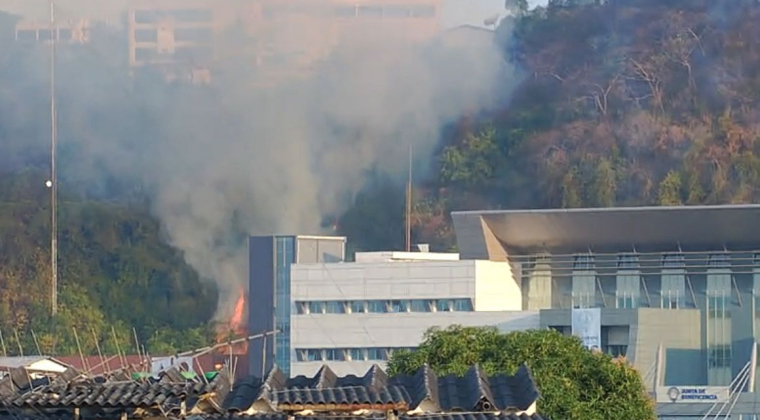 Incendio forestal