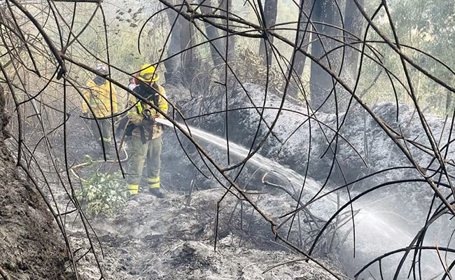 controlan incendios forestales