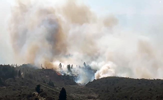 Combaten incendios forestales