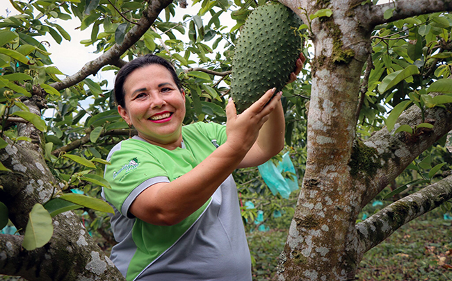 Ecuador Orgánico