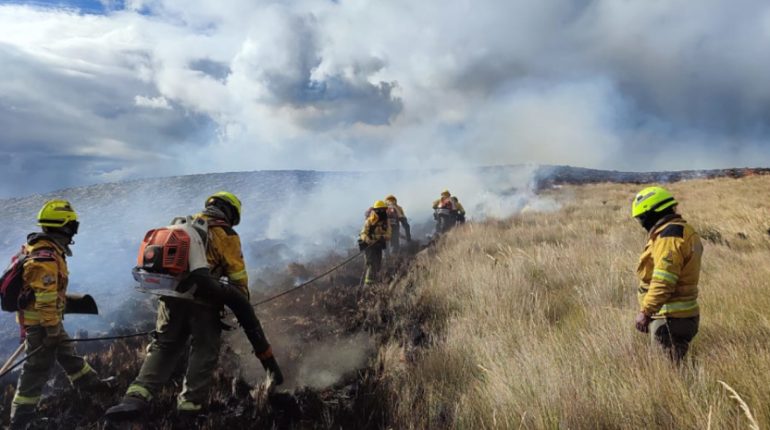 bomberos combaten incendio forestal