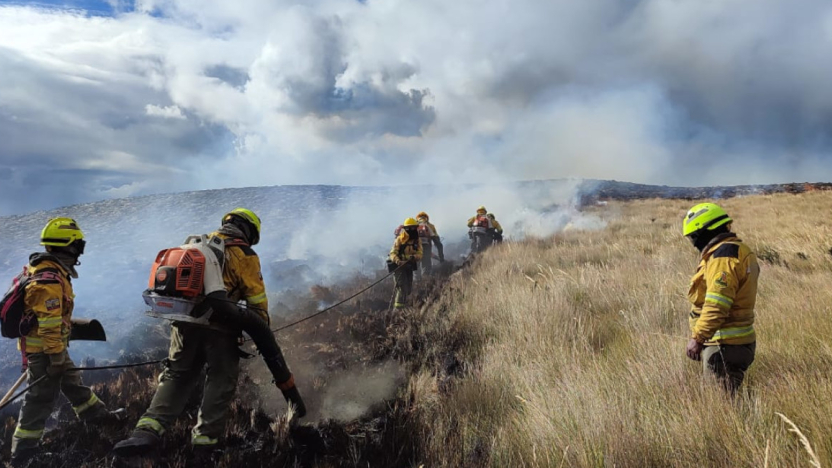 bomberos-combaten-incendio-forestal-en-el-sector-antisana.ecuador221.com_.ec_ Bomberos combaten incendio forestal en el sector Antisana