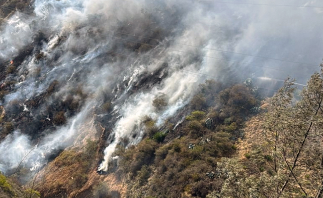 Incendio forestal en Cárcelen